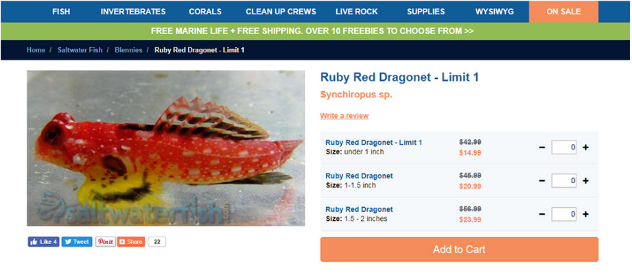 電子商務(wù)產(chǎn)品頁(yè)面設(shè)計(jì):網(wǎng)頁(yè)設(shè)計(jì)師的最佳實(shí)踐和技巧-瑩晨建站-www.119956.com 電子商務(wù)產(chǎn)品頁(yè)面設(shè)計(jì):網(wǎng)頁(yè)設(shè)計(jì)師的最佳實(shí)踐和技巧-瑩晨建站-www.119956.com