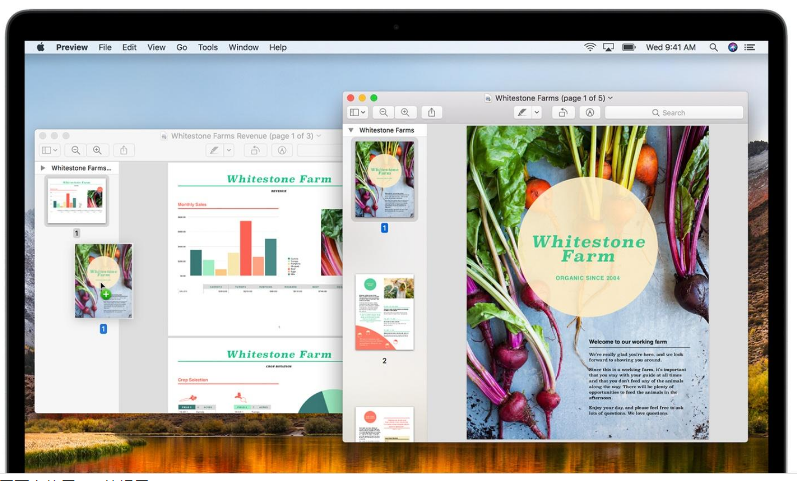 在網(wǎng)頁上使用PDF的提示-瑩晨建站-www.119956.com 在網(wǎng)頁上使用PDF的提示-瑩晨建站-www.119956.com
