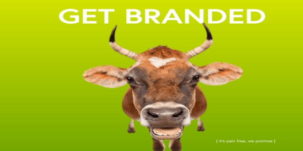 2019年喜愛（和使用）漸變的10個理由-瑩晨建站-www.119956.com