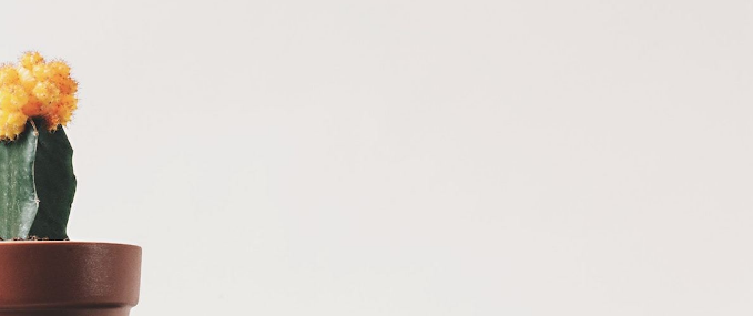 移動設(shè)計中留白設(shè)計定義和重要性-瑩晨建站-www.119956.com 移動設(shè)計中留白設(shè)計定義和重要性-瑩晨建站-www.119956.com