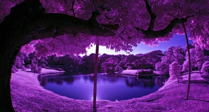 網(wǎng)站設(shè)計(jì)師制作的4種顏色錯(cuò)誤-瑩晨建站-www.119956.com 網(wǎng)站設(shè)計(jì)師制作的4種顏色錯(cuò)誤-瑩晨建站-www.119956.com