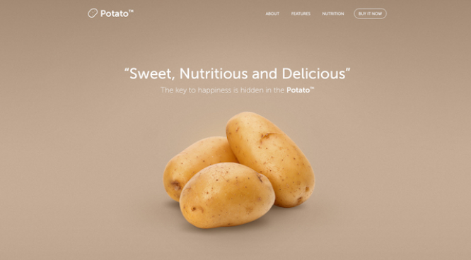 網(wǎng)站主頁創(chuàng)意的5個提示-瑩晨建站-www.119956.com 網(wǎng)站主頁創(chuàng)意的5個提示-瑩晨建站-www.119956.com