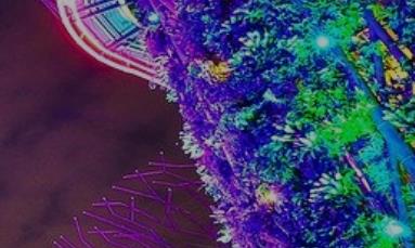 如何選擇想要的網(wǎng)頁(yè)設(shè)計(jì)風(fēng)格 如何選擇想要的網(wǎng)頁(yè)設(shè)計(jì)風(fēng)格