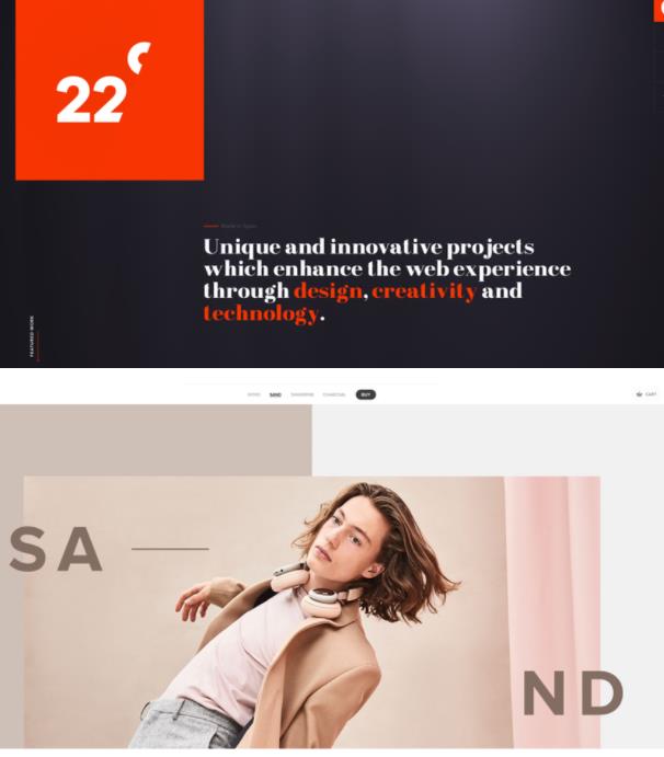 2021年網(wǎng)頁設(shè)計(jì)風(fēng)格分析。15